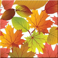 Fall Leaves Collection - Oscardo