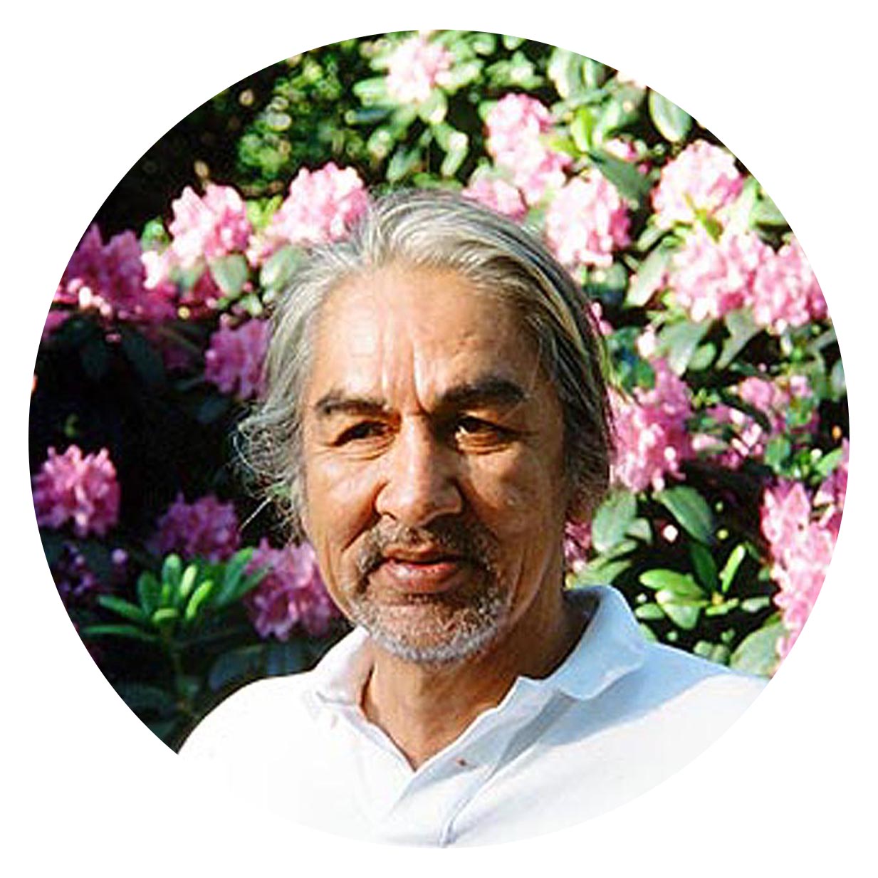 Norval Morrisseau - Oscardo