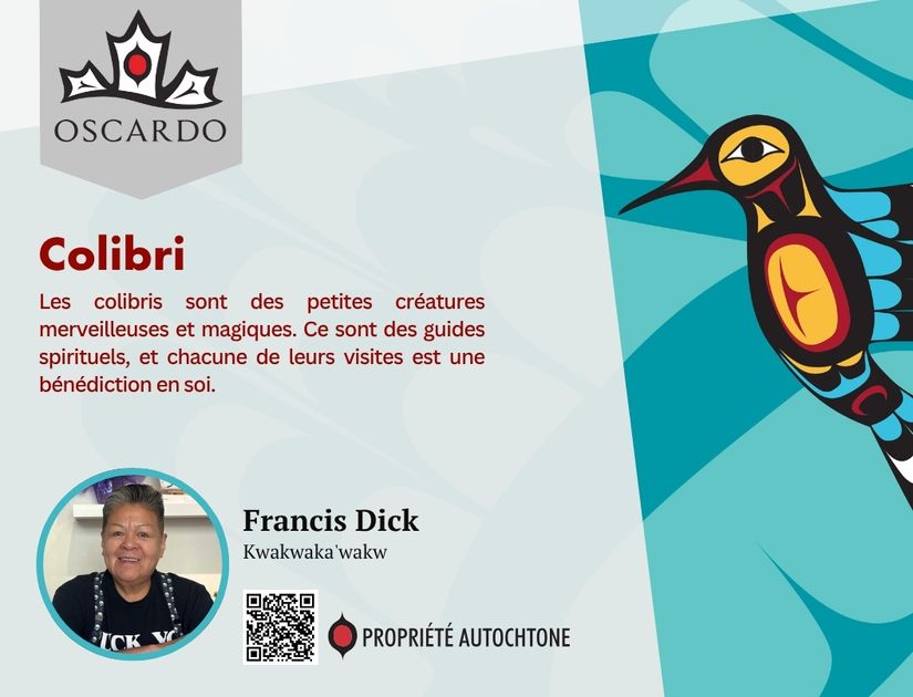 Francis Dick Hummingbird POS Cards