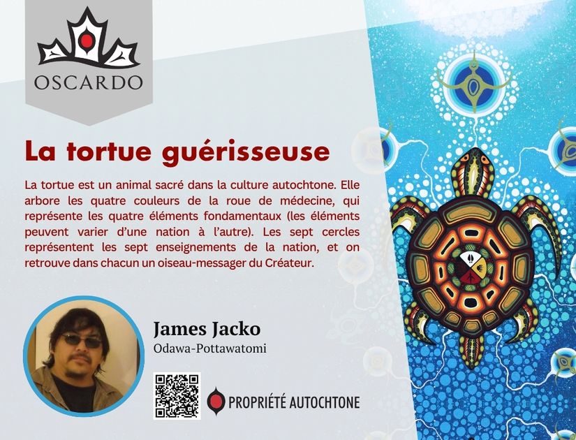 James Jacko Medicine Turtle POS Cards