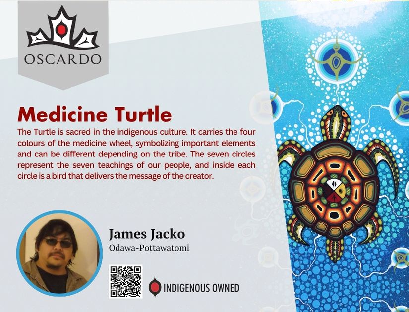 James Jacko Medicine Turtle POS Cards
