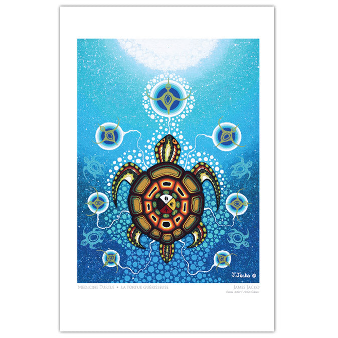 James Jacko Medicine Turtle Art Card — Oscardo